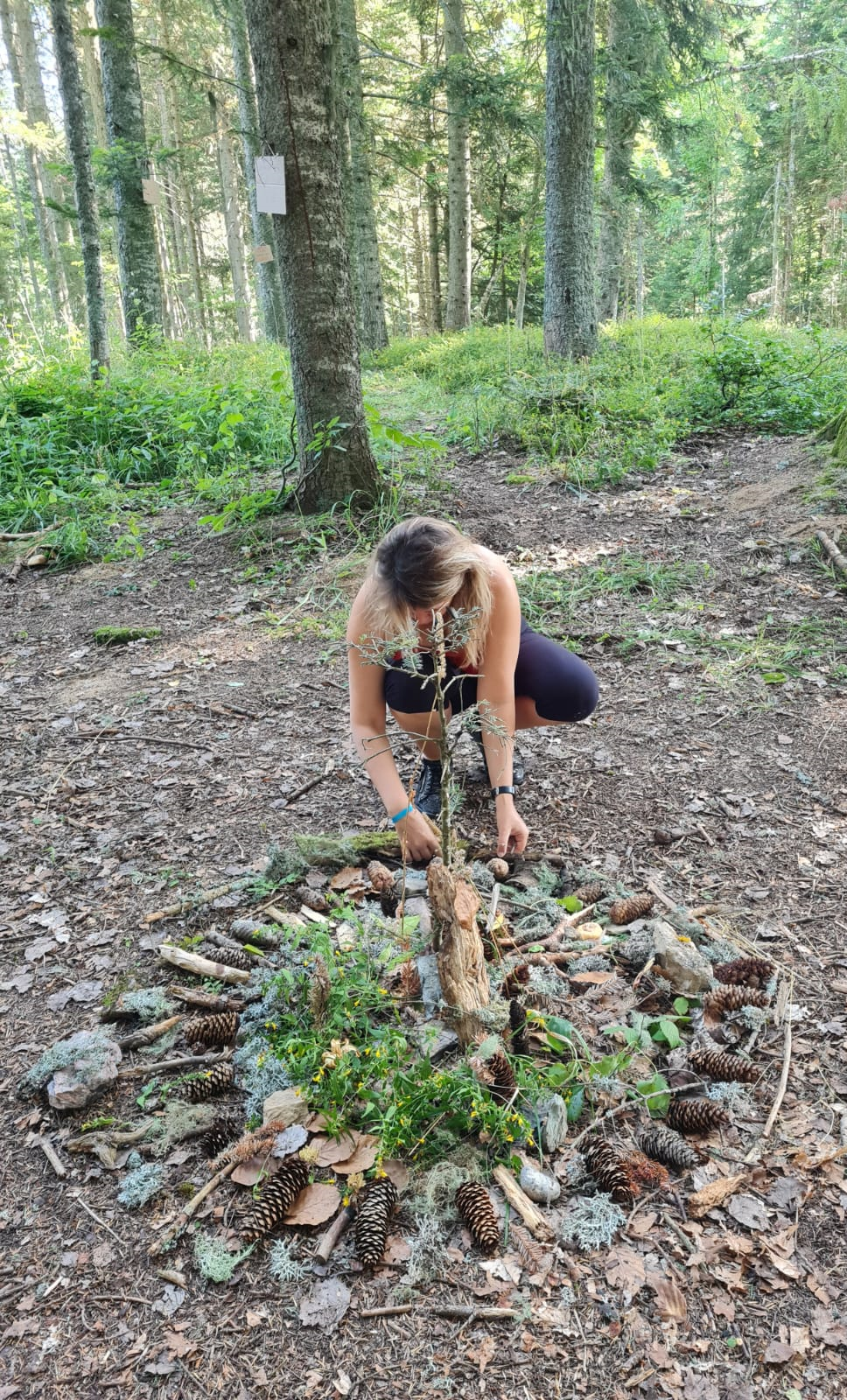 Mandala dans la nature. Joie.