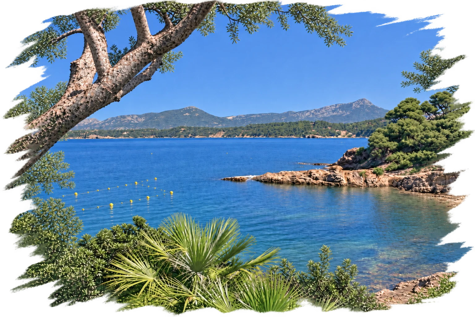 La baie du Pradet peinte aux coups de brosse : pin, mer turquoise et collines du Var — week-end Vagues de Joie